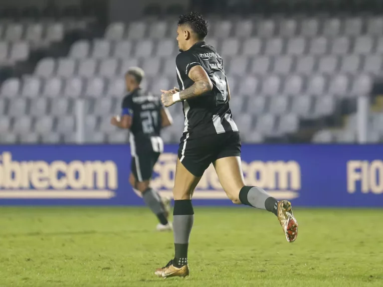 Tiquinho Soares, do Botafogo, iguala melhor temporada da carreira em gols