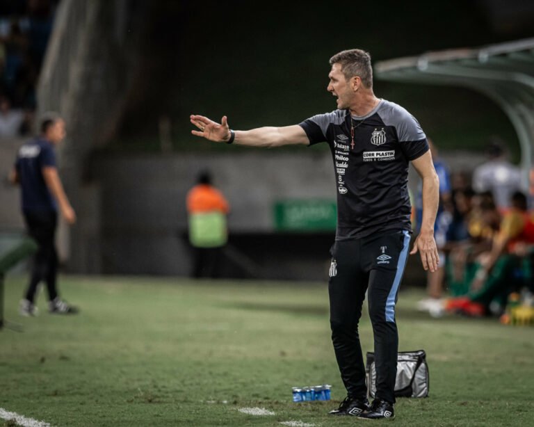 O técnico Paulo Turra espera reforços imediatos no Santos.