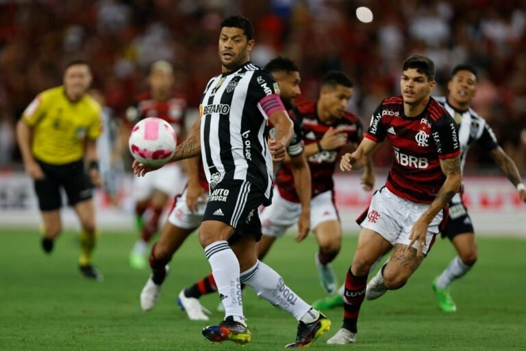 Atlético e Flamengo lideram ranking histórico de clubes com maiores torcidas no Brasileirão