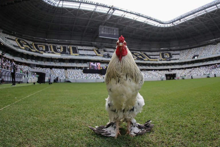 Arena MRV e Mineirão fazem parceria para marcar transição do Atlético para novo estádio