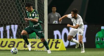 Palmeiras fica a sete pontos da liderança do Brasileirão e pressiona Botafogo