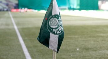 Palmeriras: mesmo com críticas de Abel, gramado do Allianz Parque não deve ser trocado 