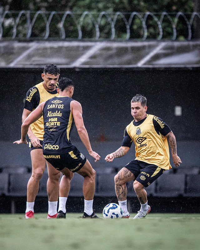 No Allianz Parque e com bastante pressão, Santos busca vitória contra o Ceará; veja escalação